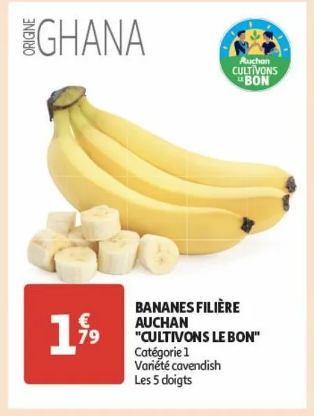 bananes filiere auchan ¨cultivons le bon¨