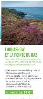 l'aquashow  et la pointe du raz  découvrez 150 espèces dans plus de 50 aquariums la faune de nos côtes n'aura plus de secret pour vous  visite commentée de l'aquashow déjeuner au restaurant (menu 3 pl