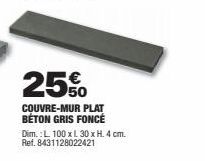 25%  COUVRE-MUR PLAT BÉTON GRIS FONCÉ Dim.: L 100 x L 30 x H. 4 cm. Ref. 8431128022421 