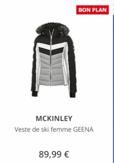 veste de ski 