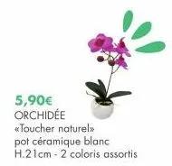 5,90€  orchidée «toucher naturel >> pot céramique blanc h.21cm - 2 coloris assortis 