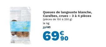 Queues de langouste blanche, Caraïbes, crues - 3 à 4 pièces (pièces de 150 à 250 g)  le kg 85500  69% 