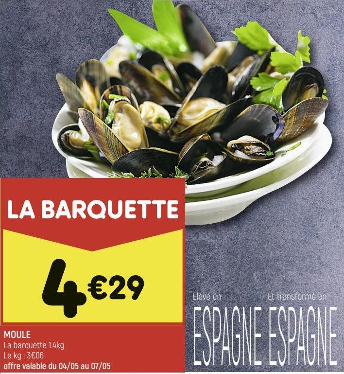 MOULE 