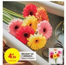 4,99  LE BOUQUET  BOUQUET DE 7 GERMINIS coloris arlequin 