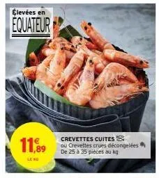 élevées en  equateur  crevettes cuites &  11,89 ou crevettes crues décongelées  de 25 à 35 pièces au  le no 