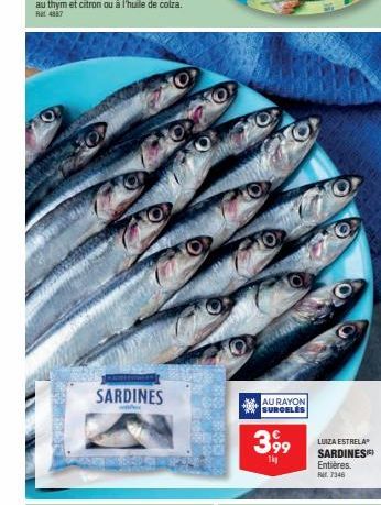 sardines 