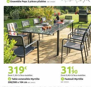 319€  Dont 5,30 € d'éco-mobilier. Table extensible Myrtille 200/300 x 104 cm R$44151  3190  Dont 0,40 € d'éco-mobilier.  Fauteuil Myrtille 544333 