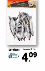 sardines 