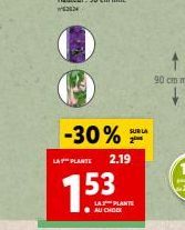 -30%  LA PLANTE 2.19  53  SUR LA  LA PLANTS  AU CHOCK 