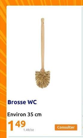 Brosse WC  Environ 35 cm  149  1.49/st  