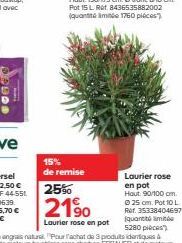 15% de remise  25%  2190  Laurier rose en pot  Laurier rose en pot  Hout 90/100 cm. Ⓒ25 cm. Pot 10 L Ref. 3533840469715 quanto mit 5280 pièces 