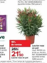 15% de remise  25%  2190  laurier rose en pot  laurier rose en pot  hout 90/100 cm. ⓒ25 cm. pot 10 l ref. 3533840469715 quanto mit 5280 pièces 