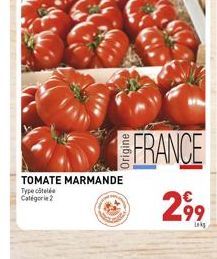 TOMATE MARMANDE Type côtelé Catégorie 2  FRANCE  299 