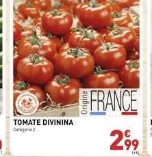 tomate divinina catégorie 2  france  299 