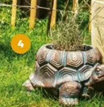cache-pot tortue gardenstar