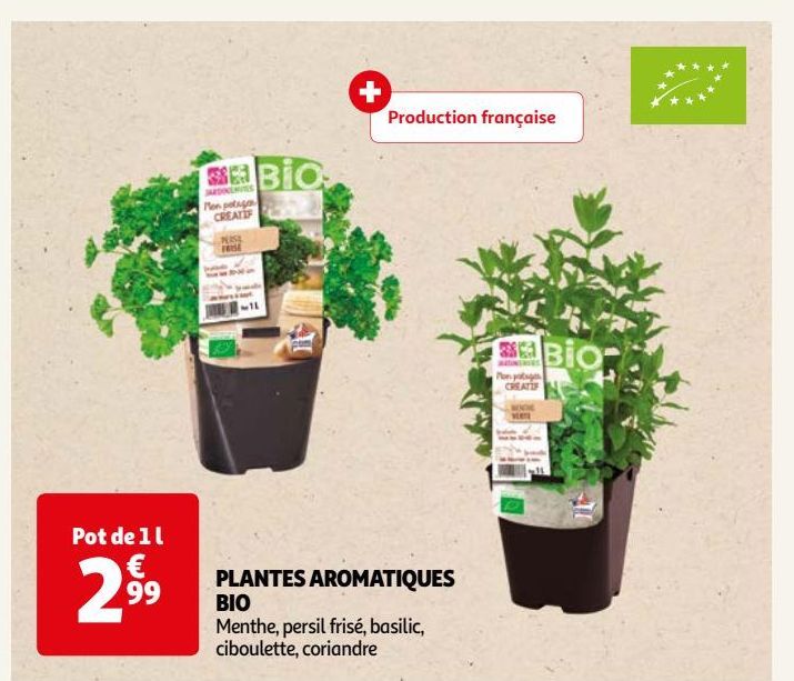 PLANTES AROMATIQUES BIO