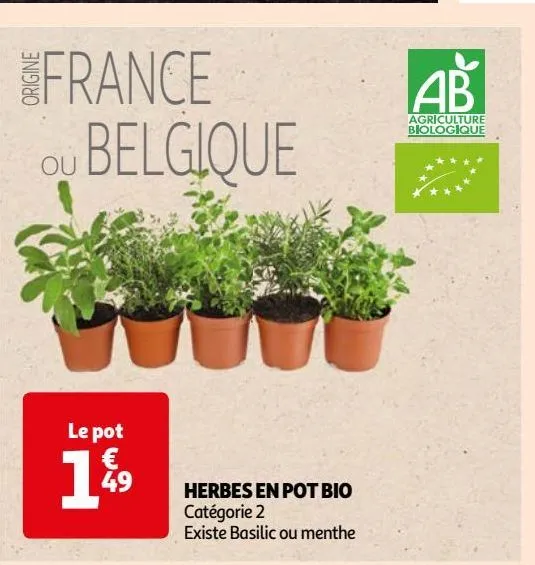 herbes en pot bio 