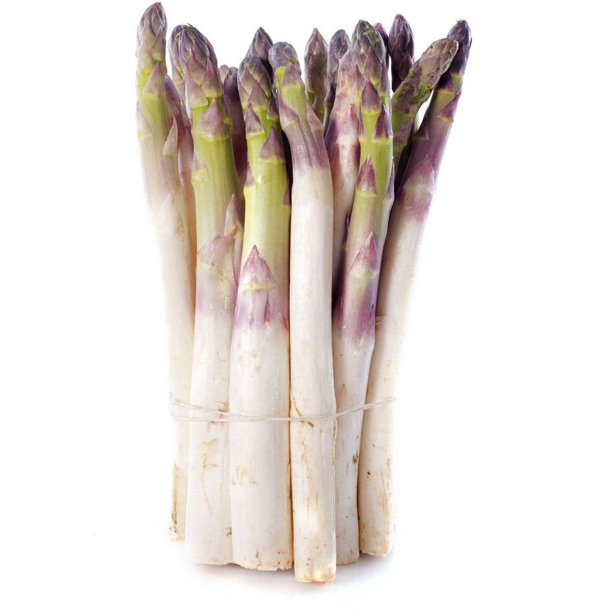 ASPERGES 