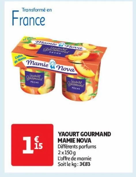 yaourt gourmand mamie nova