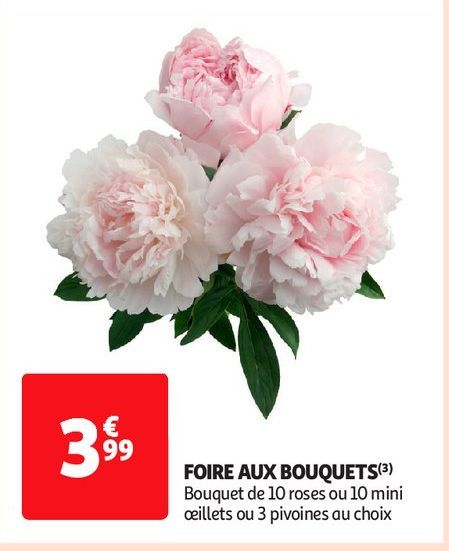 FOIRE AUX BOUQUETS