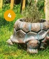 cache-pot tortue gardenstar