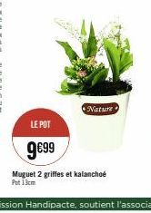 Nature  LE POT  9€99  Muguet 2 griffes et kalanchoe Pot 13cm 