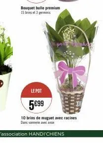bouquet bulle premium 15 brins et 3 germinis  perpenhag 