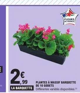 ,99  la barquette  fleurs  de france  plantes à massif barquette de 10 godets  différentes variétés disponibles. 