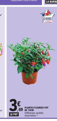 3€  LE POT  69 DE 14CM  FLEURS DE FRANCE  PLANTES FLEURIES POT  Différentes variétés disponibles. 