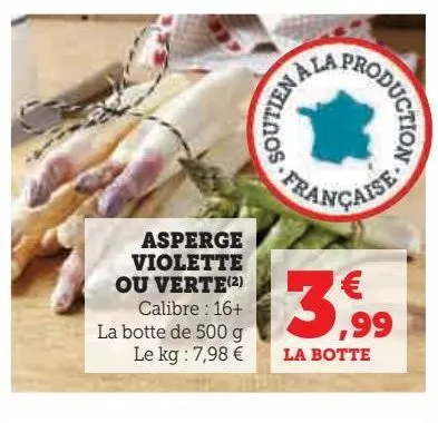 asperge violette ou verte