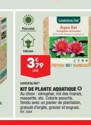 plain  exte  399  lekt  gardenline  kit de plante aquatique au choix: nénuphar, iris des marais, massette, etc. coloris assortis. vendu avec un panier de plantation, granulé d'argile, gravier et engra