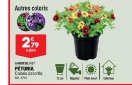 Autres coloris  2,99  La  GARDENLINE  PETUNIA  Coloris assortis.  at 8735  12cm Rigulier Plein soll Extr 