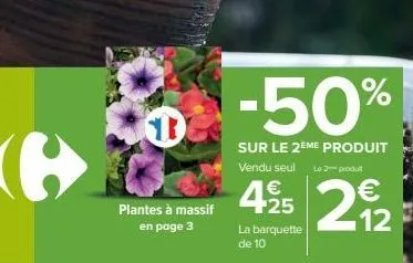 plantes 