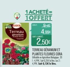 terreau Cora