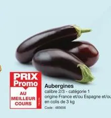 aubergines promo