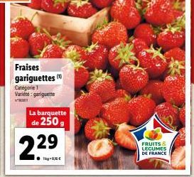 fraises 