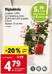 plantes 