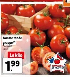 tomates 