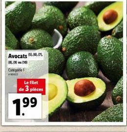 avocats 