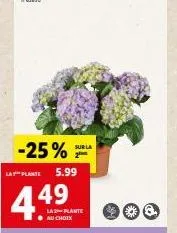 -25%  lat plante  44⁹  au choix  5.99  sur la 2⁰  la-plante 