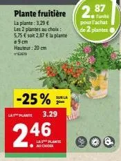 plantes 