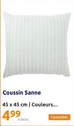 Coussin Sanne  45 x 45 cm | Couleurs...  4⁹⁹  4.99/st 