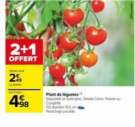 2+1  OFFERT  Vendu seu  49 La plame  Les 3 pour  4⁹8  Plant de légumes Disponible en Aubergine, Tomate Cerise, Poivron ou Courgette  Pot diamètre 10.5 cm Panachage possible 