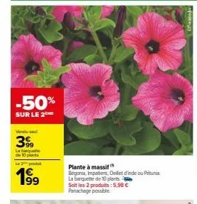 -50%  sur le 2  vendu sel  39  labirquorthe de 10 plants  la 2 produt  199  plante à massif  begonia, impatiens, oeillet d'inde ou petunia la banquette de 10 plants.  soit les 2 produits: 5,98 € panac