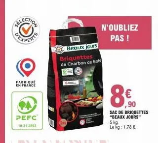 briquettes de charbon 