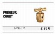 PURGEUR COURT  M08 x 13  2,95 € 