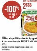 -100% 2066  SE 3⁰M  Fleury Michon  ESCALOPE MILANAISE  Escalope Milanaise & Spaghetti à la sauce tomate FLEURY MICHON 300 g 