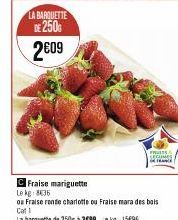 LA BARQUETTE DE 2500 2609  s/  SEGUMES in  CFraise mariguette  Le kg 835  ou Fraise ronde charlotte ou Fraise mara des bois Cat 1  la barquette de 250g à 3699 kg 15696 