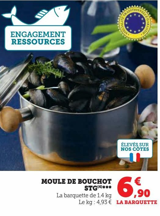 MOULE DE BOUCHOT  STG