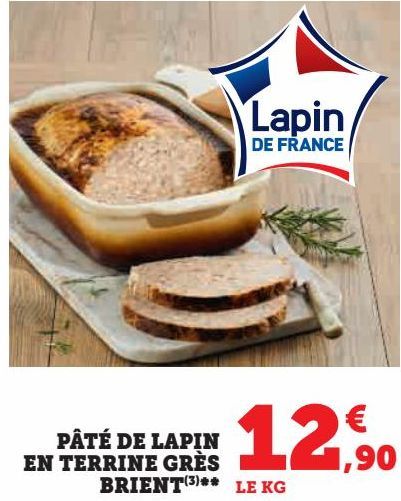 PÂTÉ DE LAPIN  EN TERRINE GRÈS  BRIENT